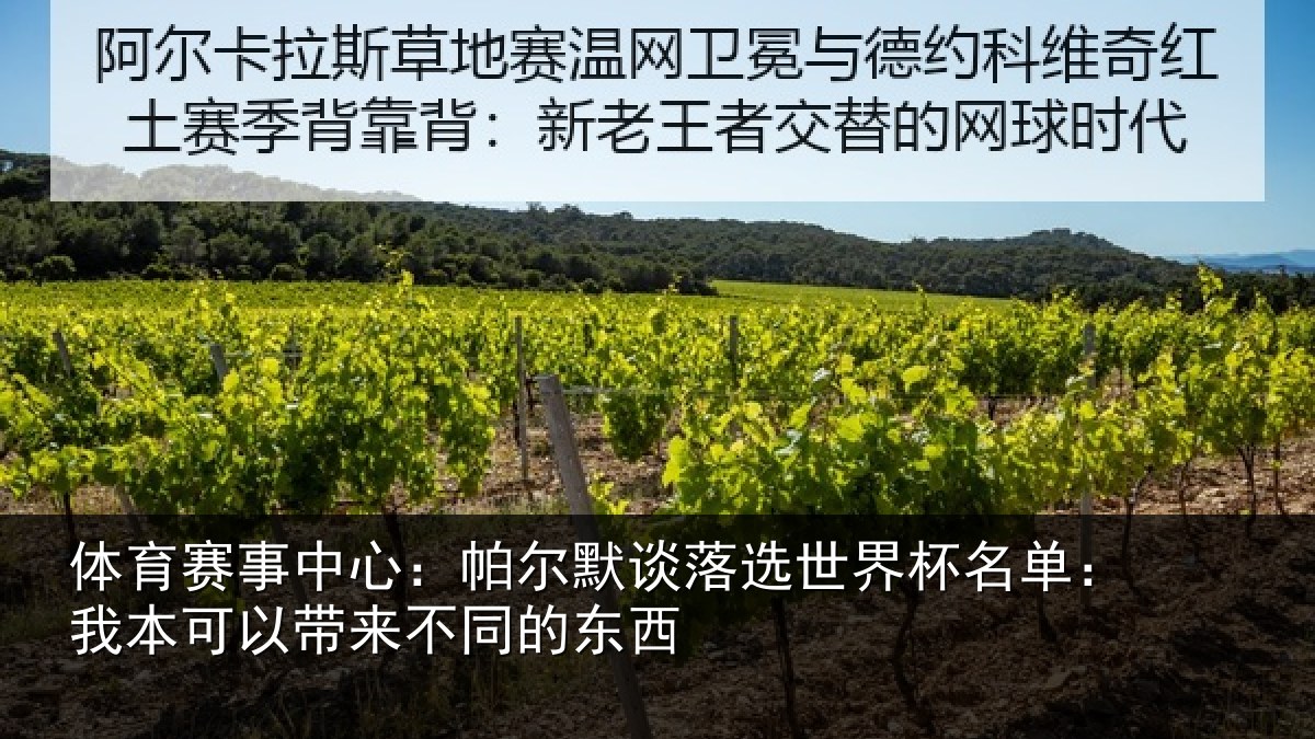 体育赛事中心:帕尔默谈落选世界杯名单:我本可以带来不同的东西