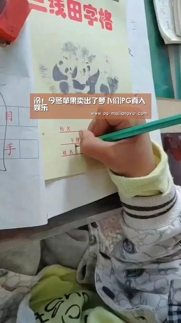 PG麻将手机版下载