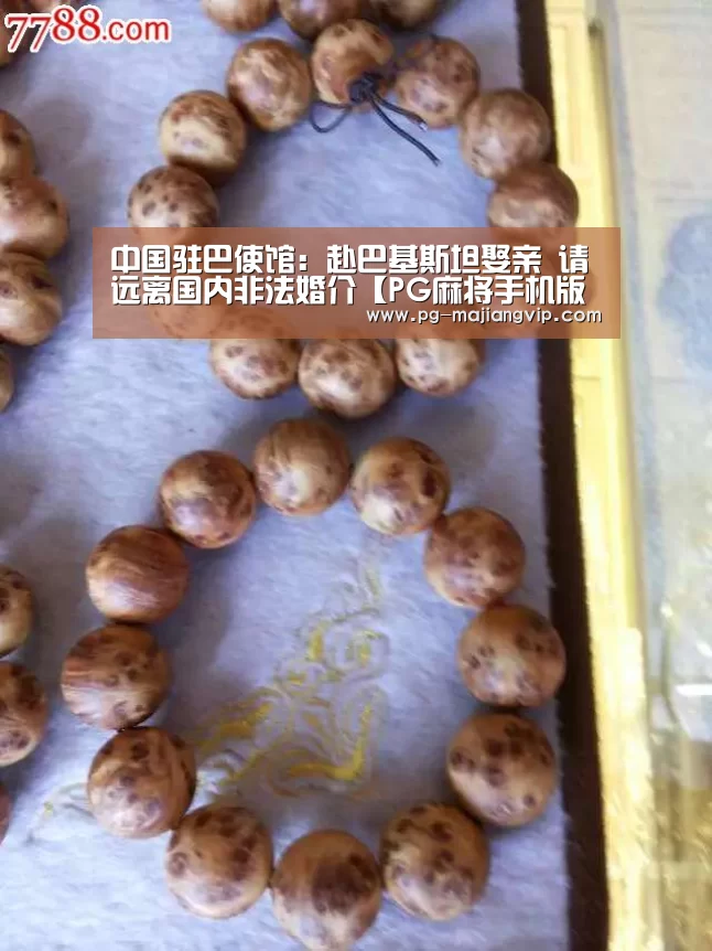 PG真人娱乐