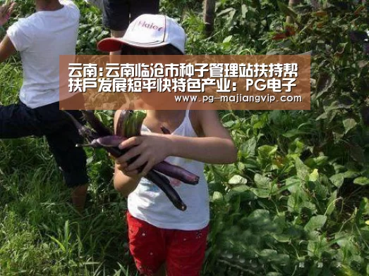云南:云南临沧市种子管理站扶持帮扶户发展短平快特色产业:PG电子官方网站(图2) PG麻将手机版下载