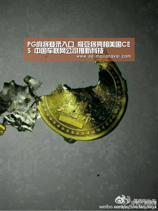 PG麻将登录入口