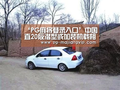 PG电子官方网站