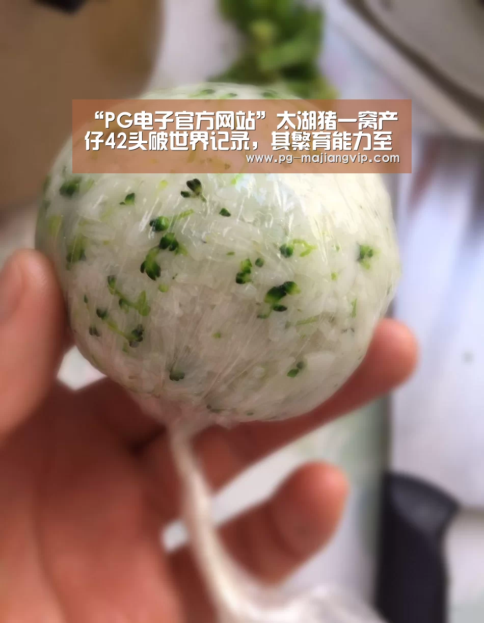 “PG电子官方网站”太湖猪一窝产仔42头破世界记录,其繁育能力至今无猪可敌(图2) PG麻将手机版下载