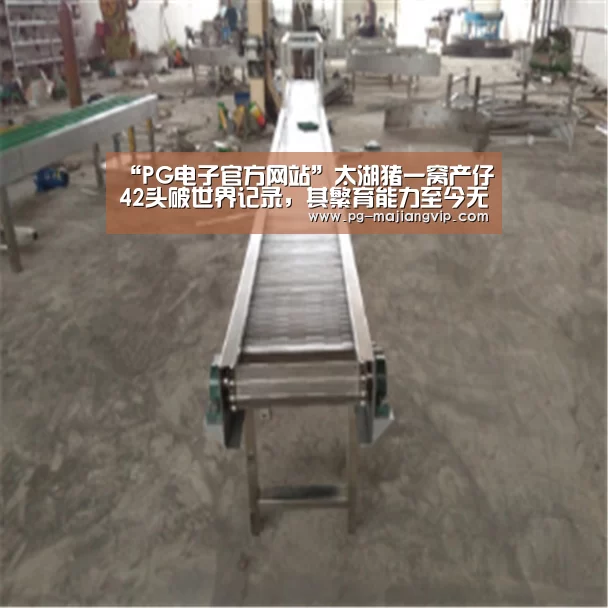 “PG电子官方网站”太湖猪一窝产仔42头破世界记录,其繁育能力至今无猪可敌(图3) PG麻将登录入口