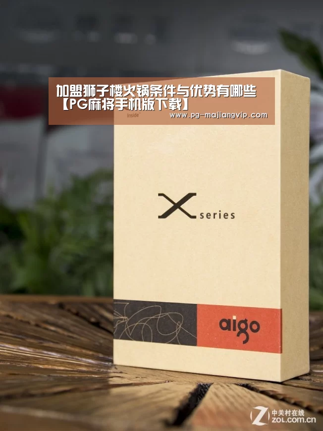 加盟狮子楼火锅条件与优势有哪些【PG麻将手机版下载】(图1) PG电子官方网站