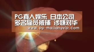 PG麻将登录入口